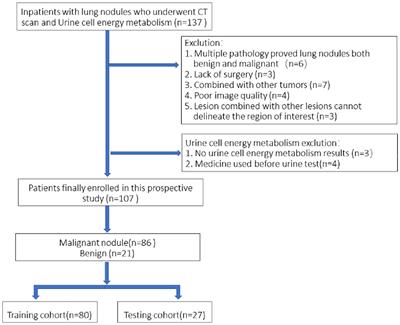 Frontiers | A Novel Nomogram Model Combining CT Texture Features And ...